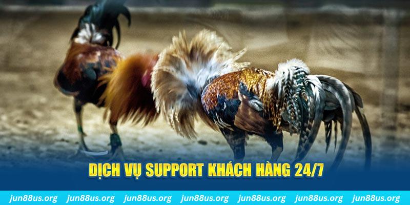 w88 club Tung Đồng Xu