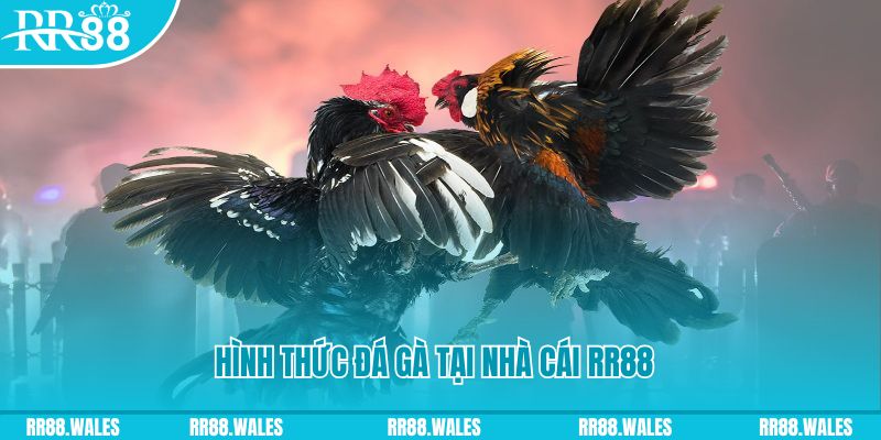 w88 club tai game danh bai online tren may tinh
