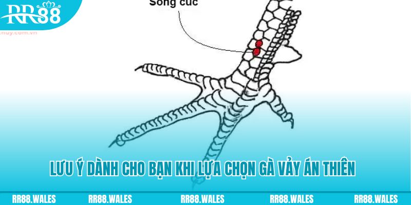 w88 club xổ số miền bắc thứ tư hàng tuần