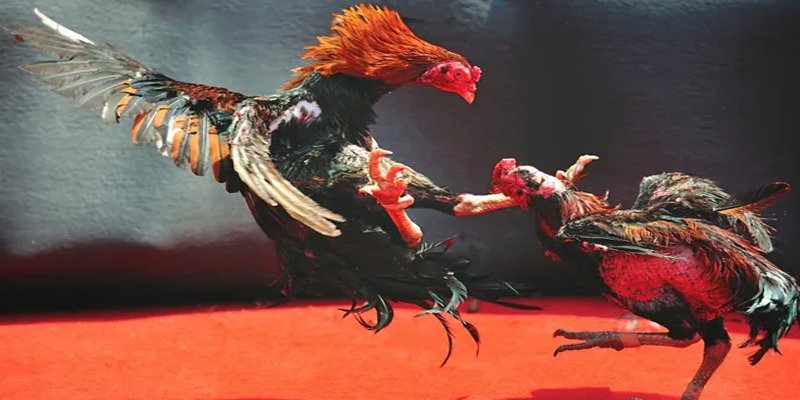 w88 club máy slot game là loại trò chơi gì？