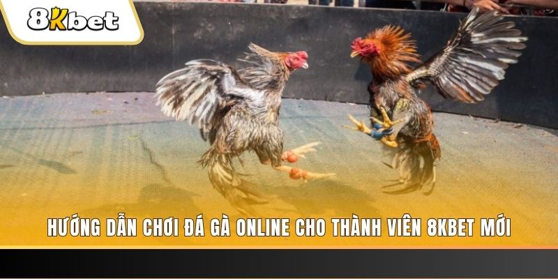 w88 club đăng nhập sòng bạc rút tiền nhanh