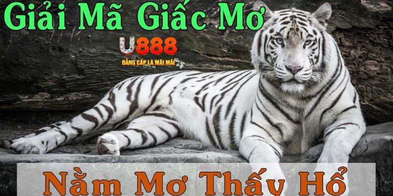 w88 club đăng nhập mậu binh miễn phí