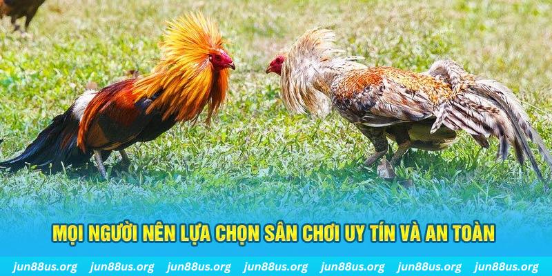 w88 club đá gà thomo 67