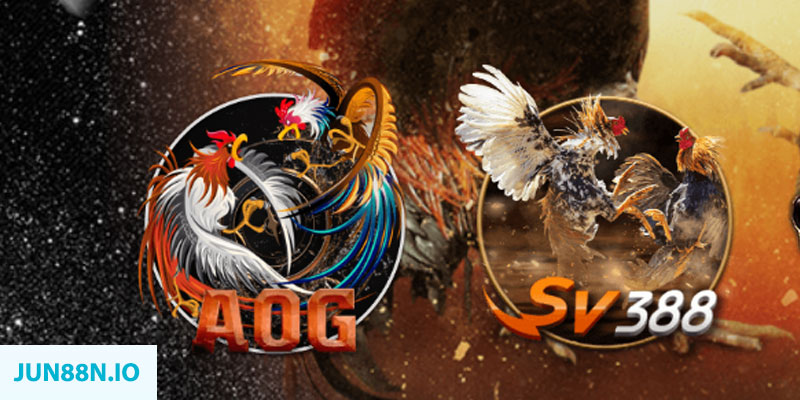 w88 club 789bet có bao nhiêu sảnh game bài 3d ？