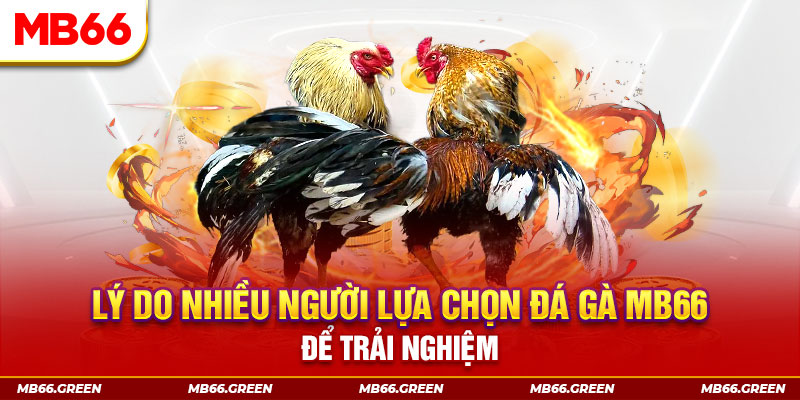 w88 club Bảy lên bảy xuống