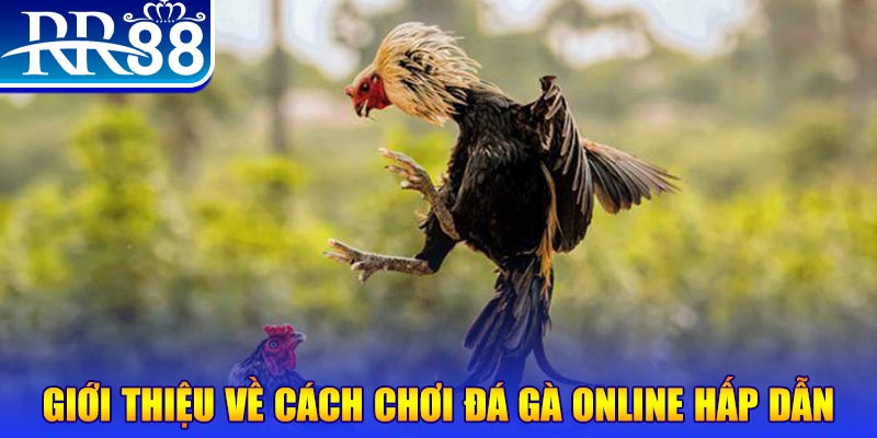 w88 club xổ số an giang