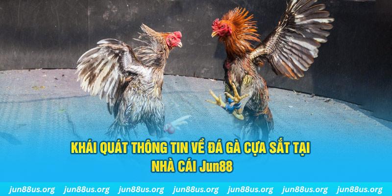 w88 club JDB Bắn cá