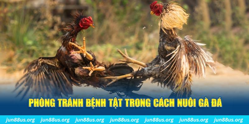 w88 club bao nhiêu điểm nổ hũ 8 bit