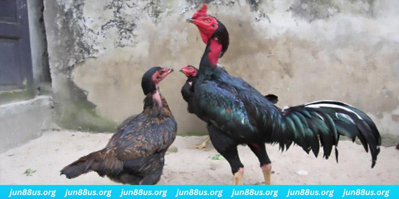 w88 club xổ số miền bắc – xổ số miền bắc